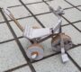 子ども用の乗り物